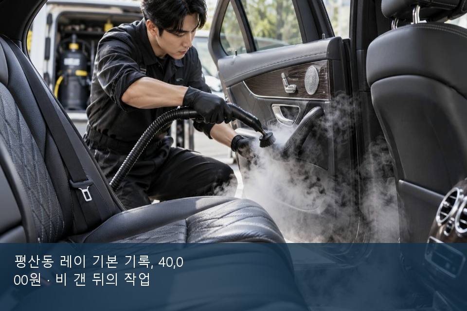 평산동 레이 기본 기록, 40,000원 · 비 갠 뒤의 작업